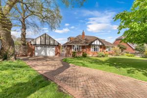 Photo 59- click for photo gallery